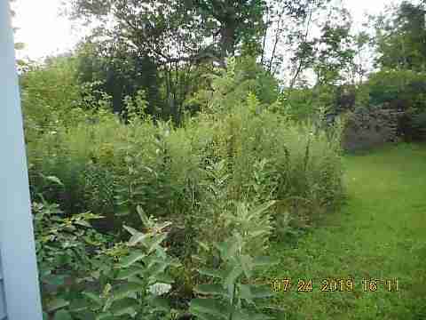 6700 Clifton (7)_m.jpg